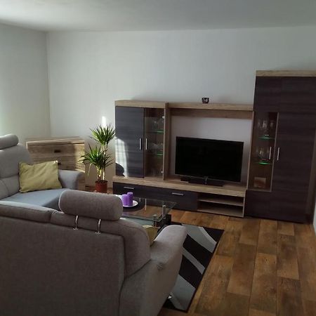 Rokytnice v Orlických Horách Apartman Pod Rickami 아파트 외부 사진