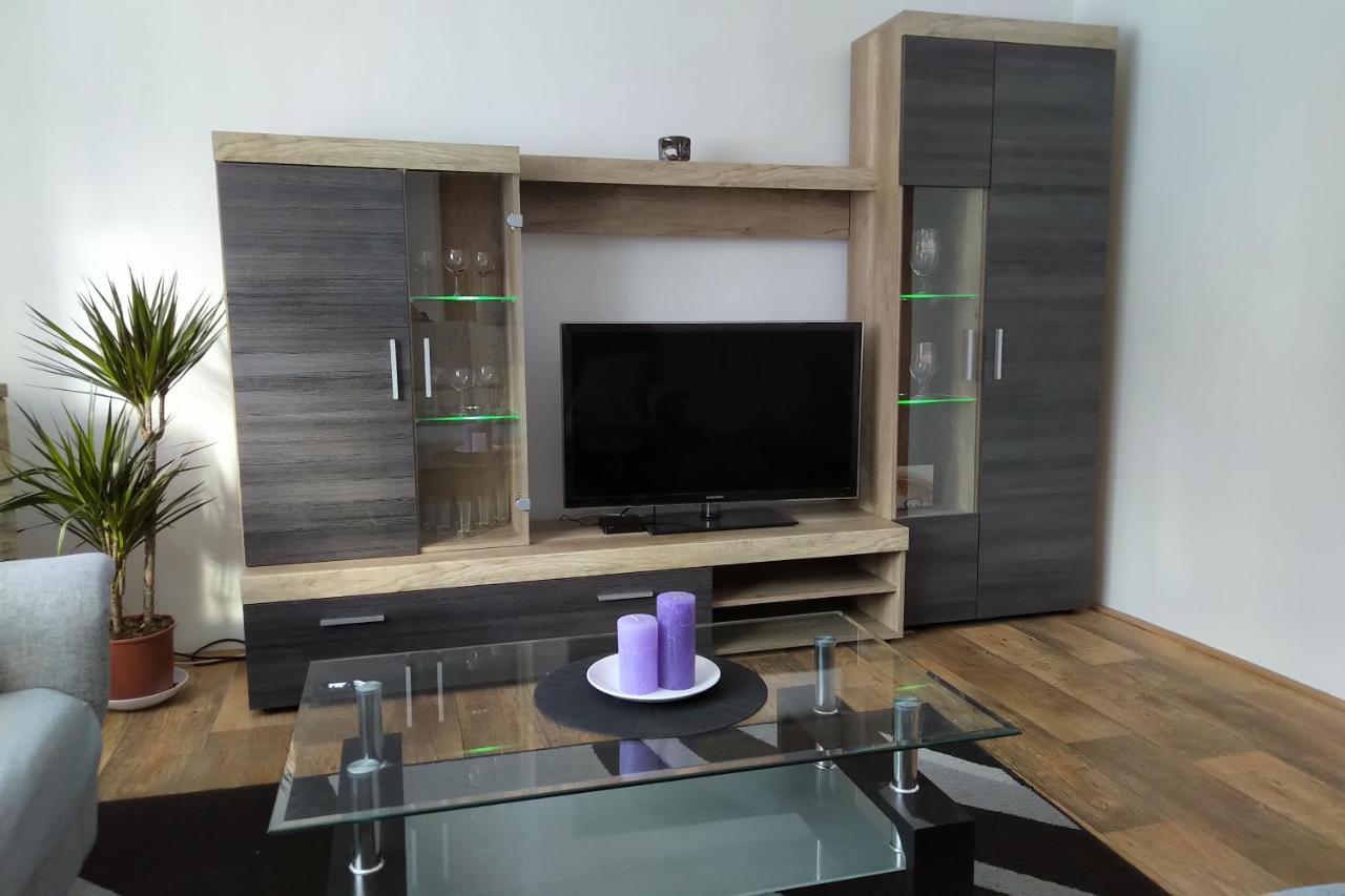 Rokytnice v Orlických Horách Apartman Pod Rickami 아파트 외부 사진