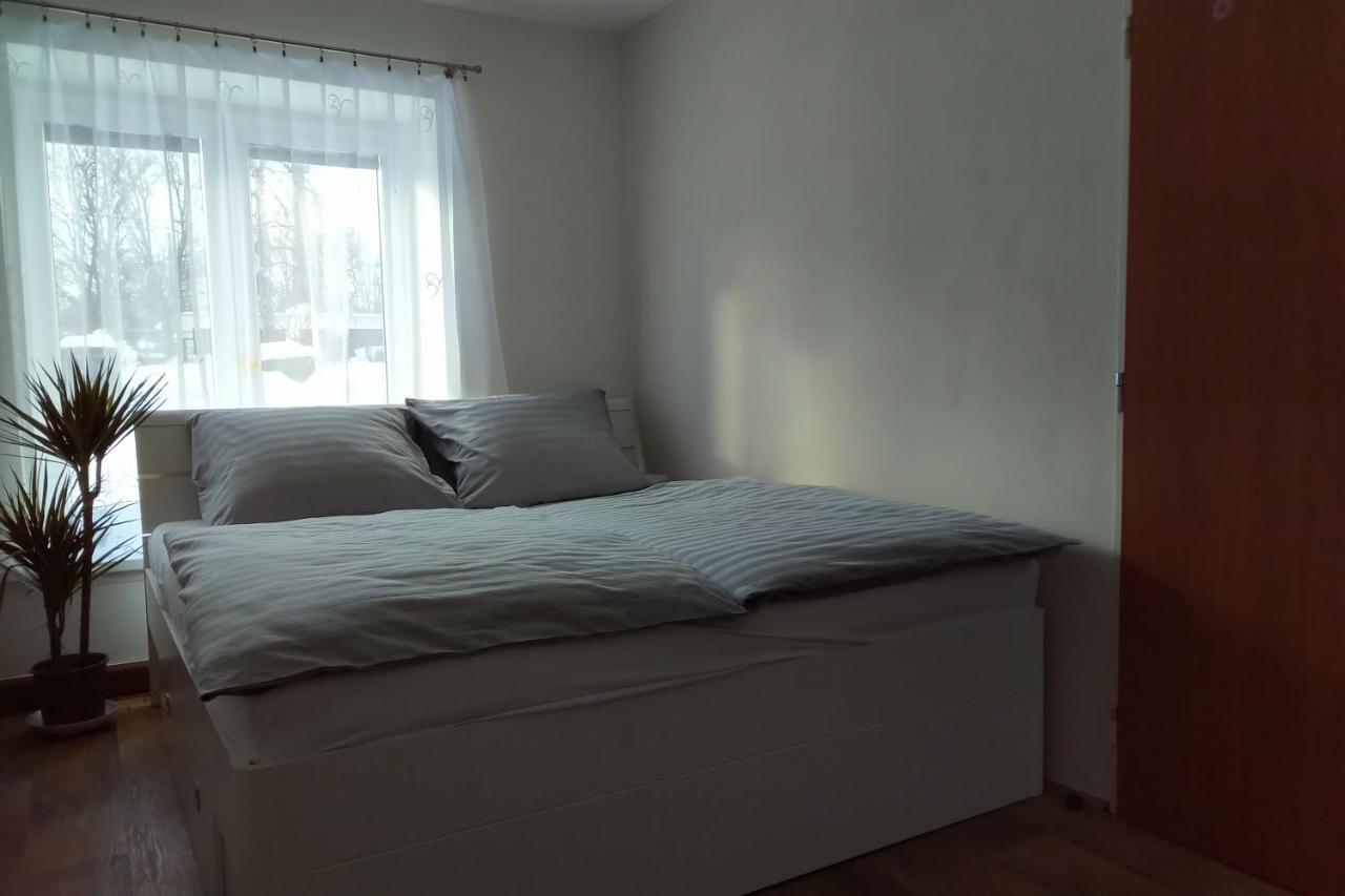 Rokytnice v Orlických Horách Apartman Pod Rickami 아파트 외부 사진