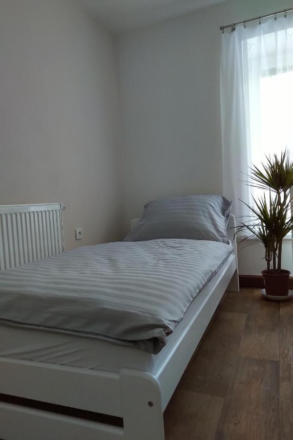 Rokytnice v Orlických Horách Apartman Pod Rickami 아파트 외부 사진