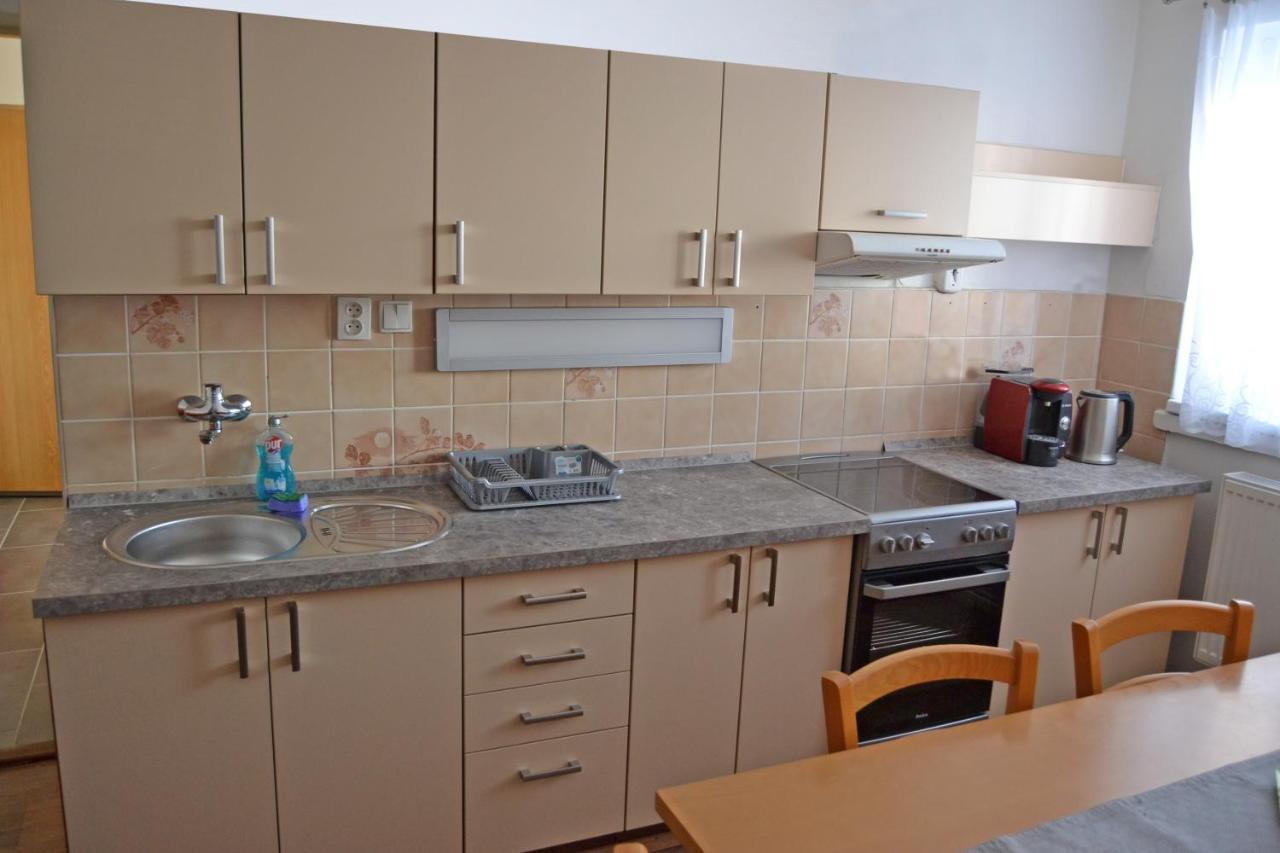Rokytnice v Orlických Horách Apartman Pod Rickami 아파트 외부 사진