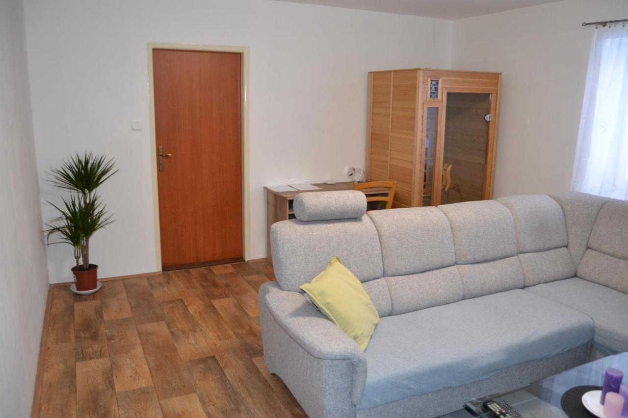 Rokytnice v Orlických Horách Apartman Pod Rickami 아파트 외부 사진