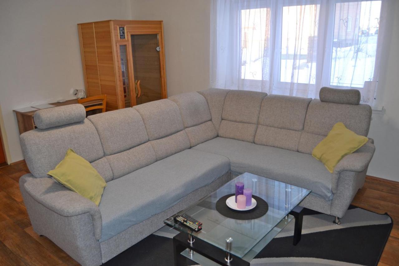 Rokytnice v Orlických Horách Apartman Pod Rickami 아파트 외부 사진