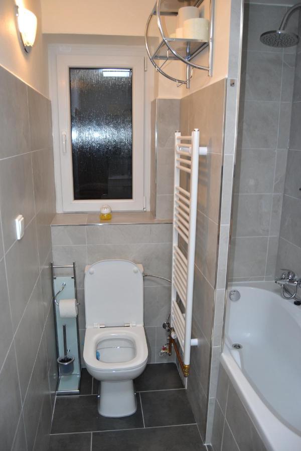 Rokytnice v Orlických Horách Apartman Pod Rickami 아파트 외부 사진